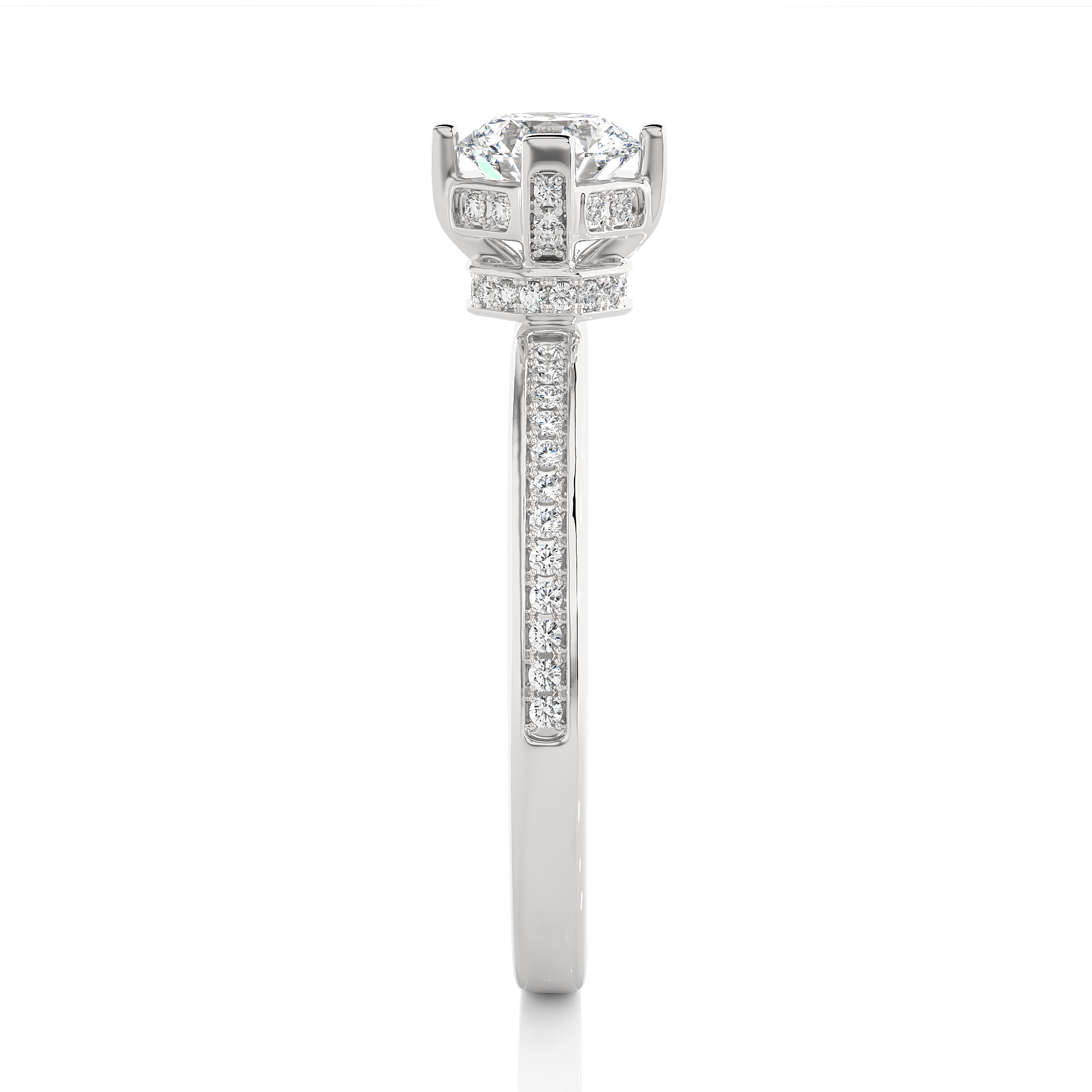 admin/upload/6899a06675ddc_WG0003.png image