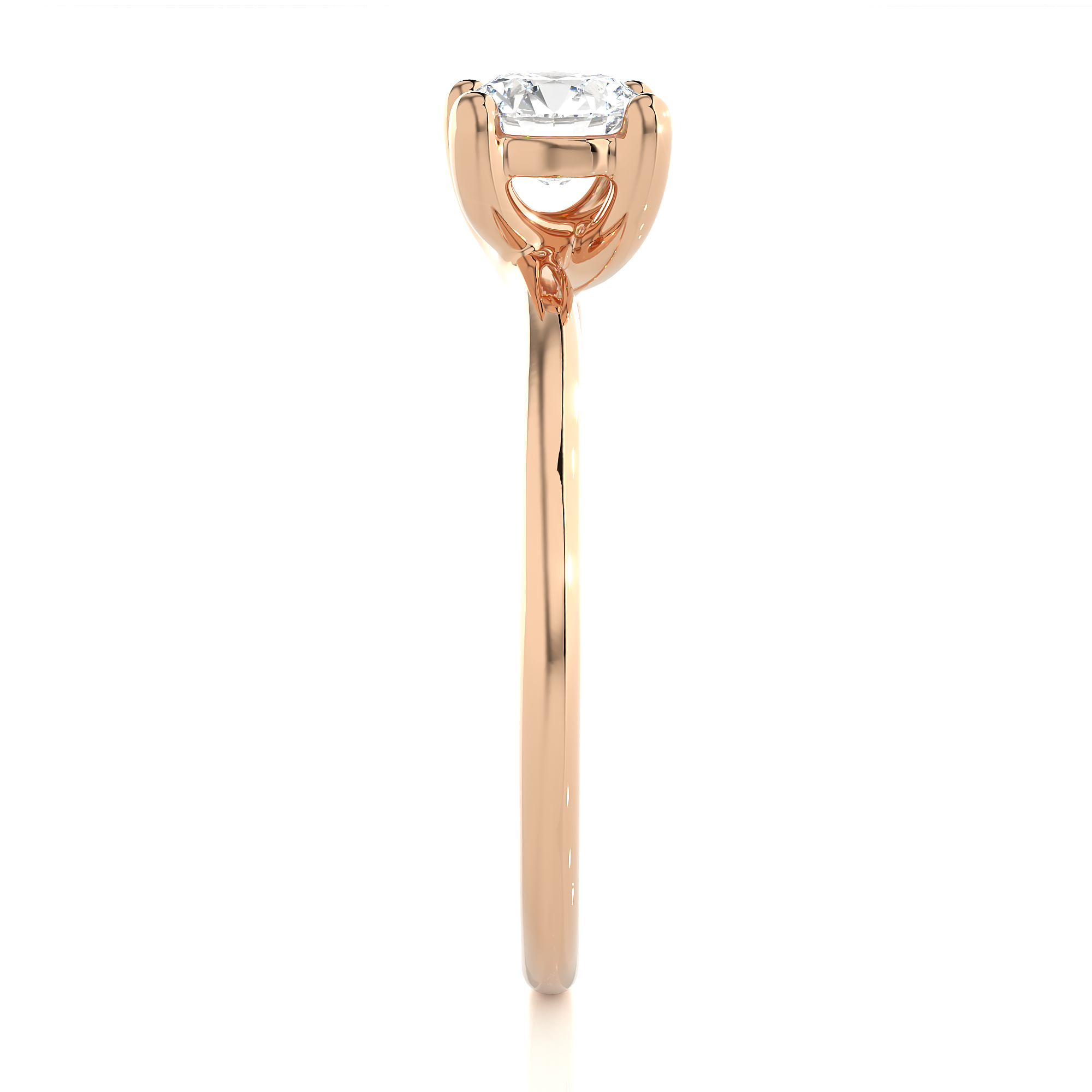 admin/upload/689ac6e07208b_RG0003.png image