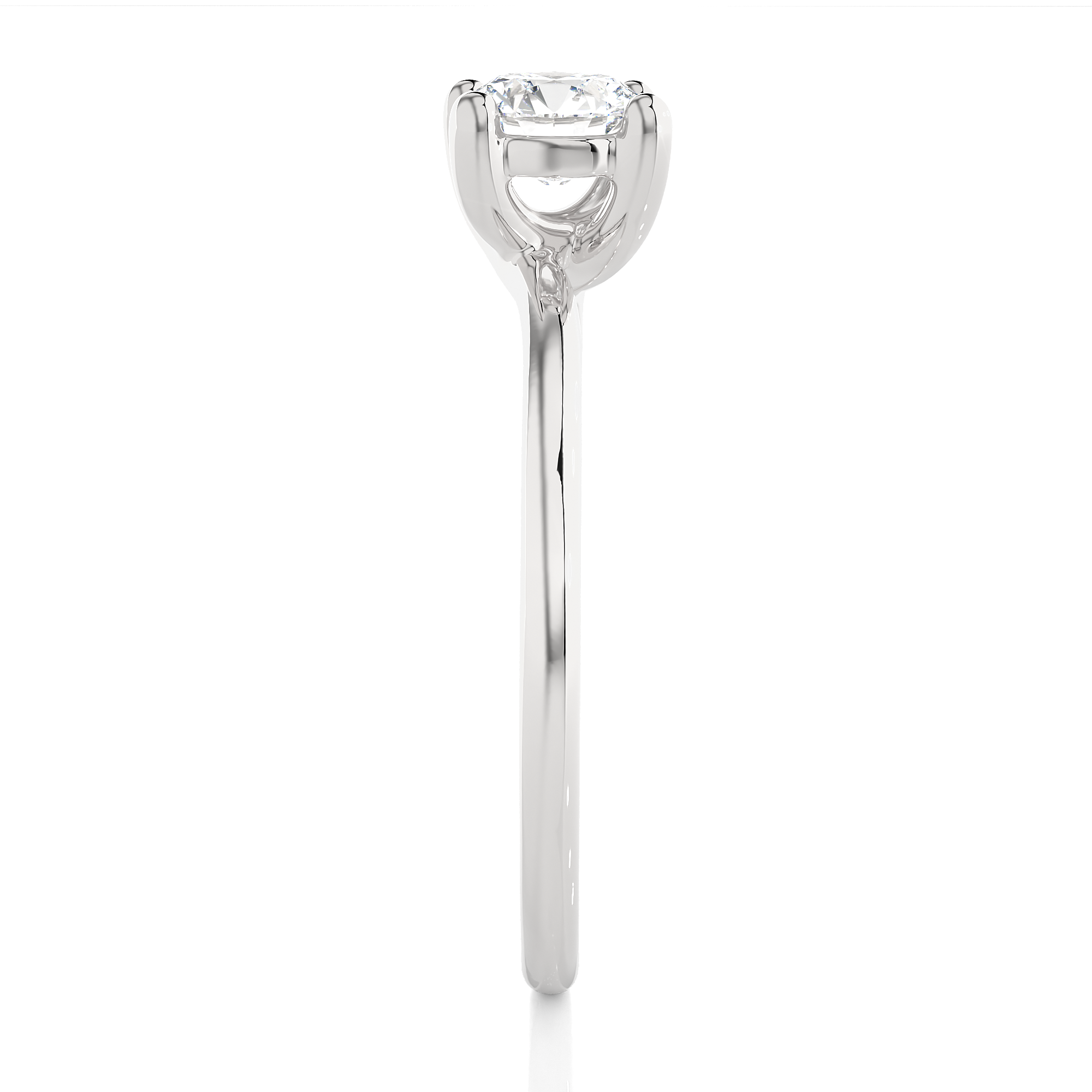 admin/upload/689ac6e078214_WG0003.png image